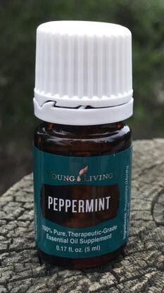 Peppermint Essential Oil